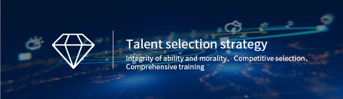 Talent selection strategy